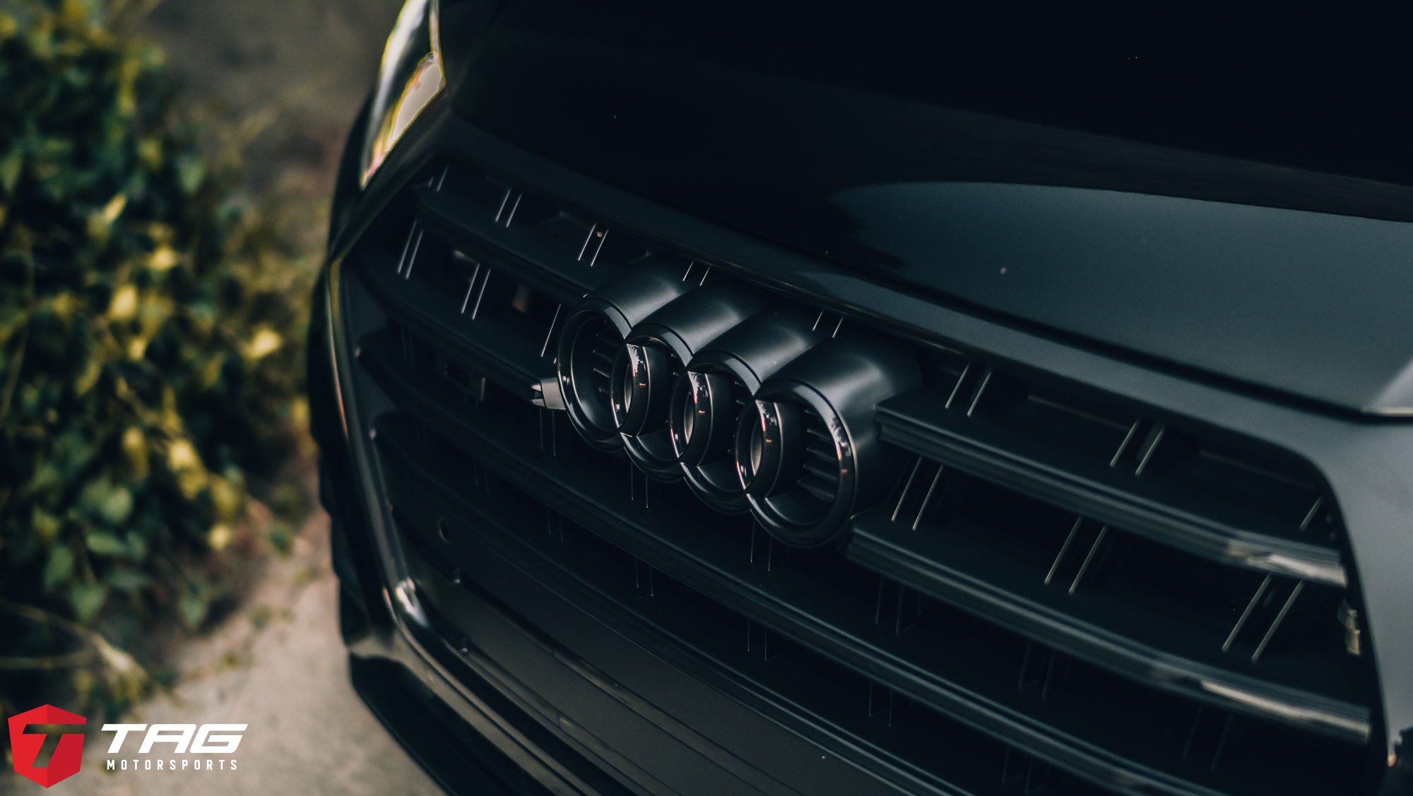 2019 AUDI SQ5 ON HRE VINTAGE 501 + CETE LOWERING MODULE + TAG Motorsports